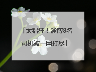 太猖狂！淄博8名司机被一网打尽