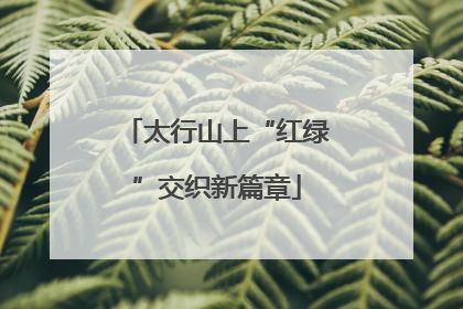 太行山上“红绿”交织新篇章
