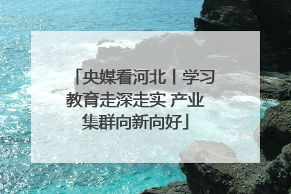 央媒看河北丨学习教育走深走实 产业集群向新向好