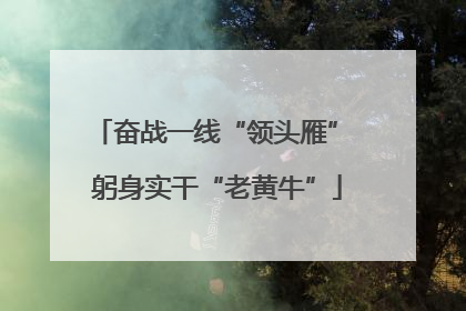 奋战一线“领头雁” 躬身实干“老黄牛”