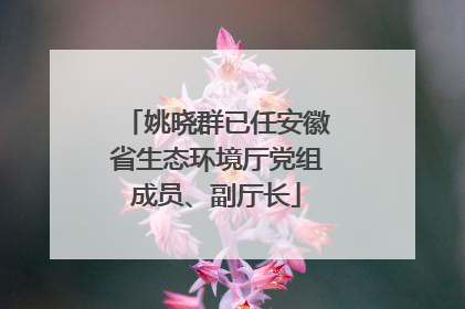 姚晓群已任安徽省生态环境厅党组成员、副厅长