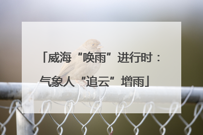 威海“唤雨”进行时：气象人“追云”增雨