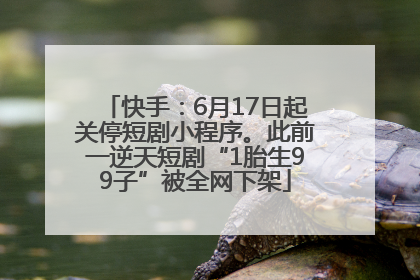 快手：6月17日起关停短剧小程序。此前一逆天短剧“1胎生99子”被全网下架