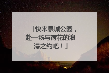 快来泉城公园，赴一场与荷花的浪漫之约吧！