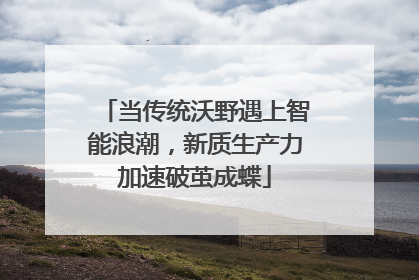 当传统沃野遇上智能浪潮，新质生产力加速破茧成蝶