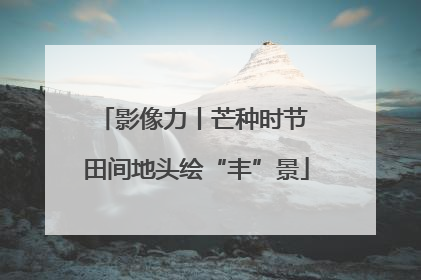 影像力丨芒种时节 田间地头绘“丰”景