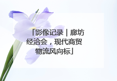 影像记录｜廊坊经洽会，现代商贸物流风向标