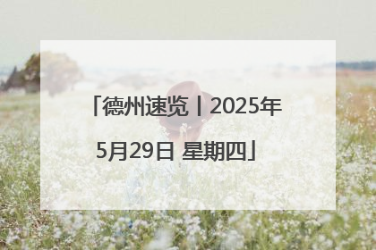 德州速览丨2025年5月29日 星期四