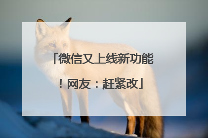 微信又上线新功能！网友：赶紧改