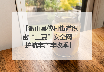 微山县傅村街道织密“三夏”安全网 护航丰产丰收季