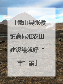 微山县张楼镇高标准农田建设绘就好“丰”景