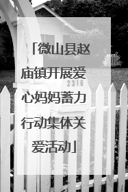 微山县赵庙镇开展爱心妈妈蓄力行动集体关爱活动