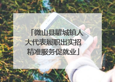 微山县驩城镇人大代表履职出实招精准服务促就业