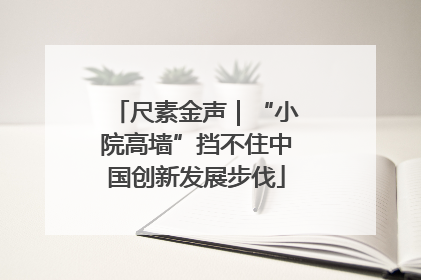 尺素金声｜“小院高墙”挡不住中国创新发展步伐