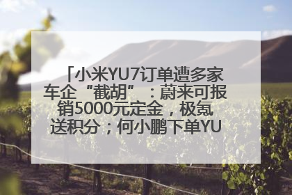 小米YU7订单遭多家车企“截胡”：蔚来可报销5000元定金，极氪送积分；何小鹏下单YU7，喊话雷军早点交付