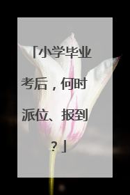 小学毕业考后，何时派位、报到？
