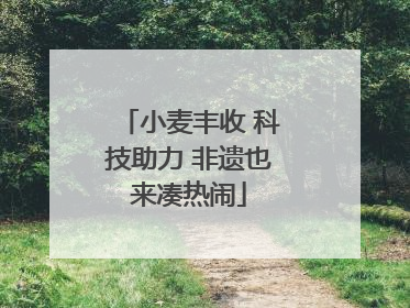 小麦丰收 科技助力 非遗也来凑热闹