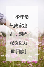 少年负气离家出走，网格深夜接力助归家