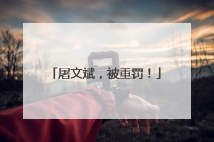 屠文斌，被重罚！