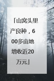 山窝头里产良种，600多亩地增收近20万元