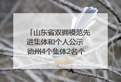 山东省双拥模范先进集体和个人公示 德州4个集体2名个人拟受表彰