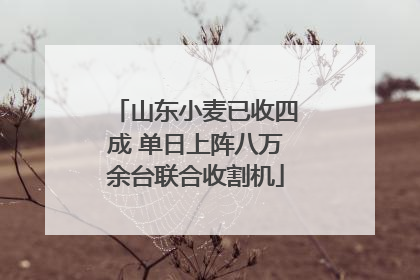 山东小麦已收四成 单日上阵八万余台联合收割机
