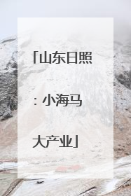 山东日照：小海马 大产业