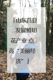 山东莒县：发展鲜切花产业 点亮“美丽经济”