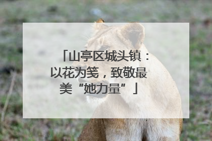 山亭区城头镇：以花为笺，致敬最美“她力量”