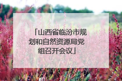 山西省临汾市规划和自然资源局党组召开会议