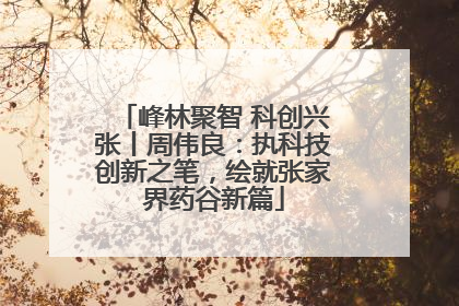 峰林聚智 科创兴张丨周伟良：执科技创新之笔，绘就张家界药谷新篇