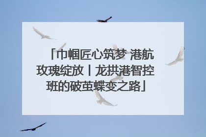 巾帼匠心筑梦 港航玫瑰绽放丨龙拱港智控班的破茧蝶变之路