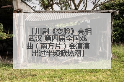 川剧《变脸》亮相武汉 第四届全国戏曲（南方片）会演演出过半频掀热潮