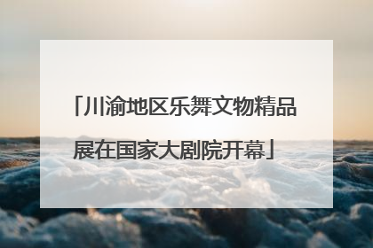 川渝地区乐舞文物精品展在国家大剧院开幕