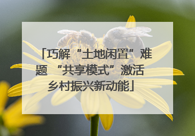 巧解“土地闲置”难题 “共享模式”激活乡村振兴新动能
