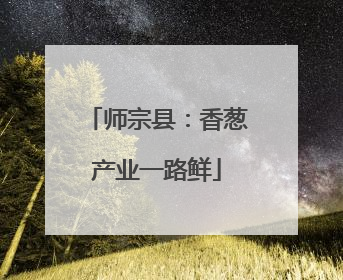 师宗县：香葱产业一路鲜