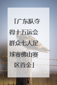 广东队夺得十五运会群众七人足球赛佛山赛区首金