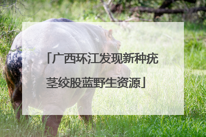 广西环江发现新种疣茎绞股蓝野生资源