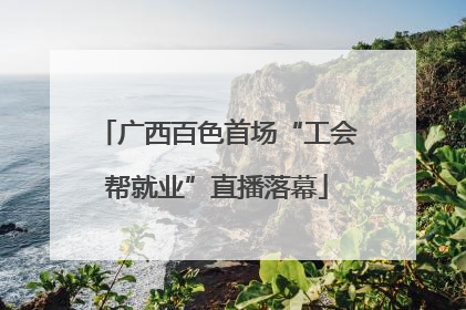 广西百色首场“工会帮就业”直播落幕