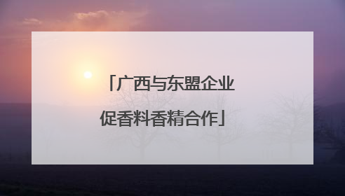 广西与东盟企业促香料香精合作