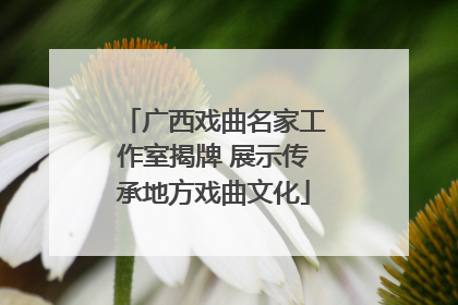 广西戏曲名家工作室揭牌 展示传承地方戏曲文化