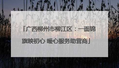 广西柳州市柳江区：一面锦旗映初心 暖心服务助营商