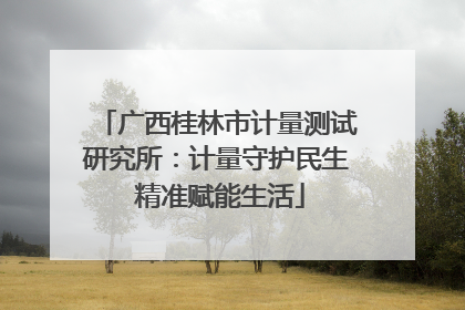 广西桂林市计量测试研究所：计量守护民生 精准赋能生活