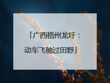 广西梧州龙圩：动车飞驰过田野