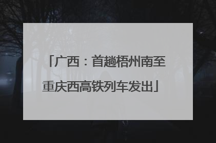广西：首趟梧州南至重庆西高铁列车发出