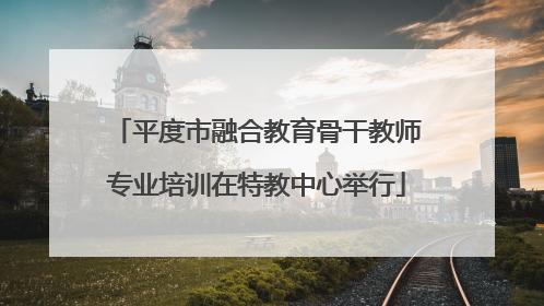 平度市融合教育骨干教师专业培训在特教中心举行