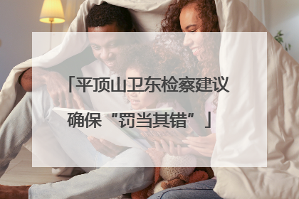 平顶山卫东检察建议确保“罚当其错”