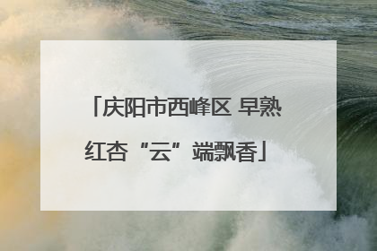 庆阳市西峰区 早熟红杏“云”端飘香