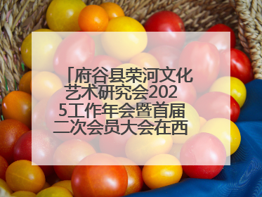 府谷县荣河文化艺术研究会2025工作年会暨首届二次会员大会在西安召开