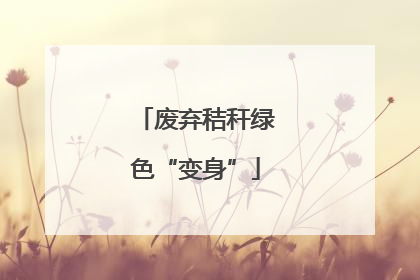 废弃秸秆绿色“变身”
